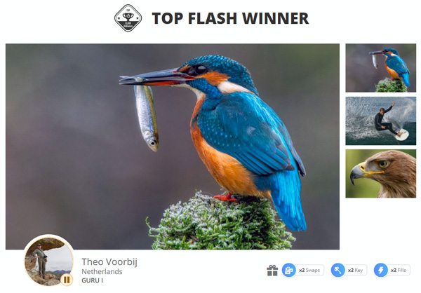 Top Flash Winner