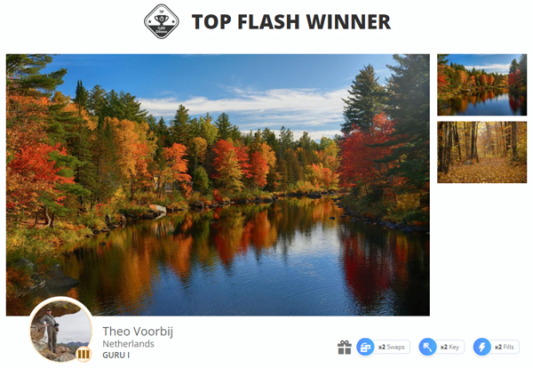 Top Flash Winner